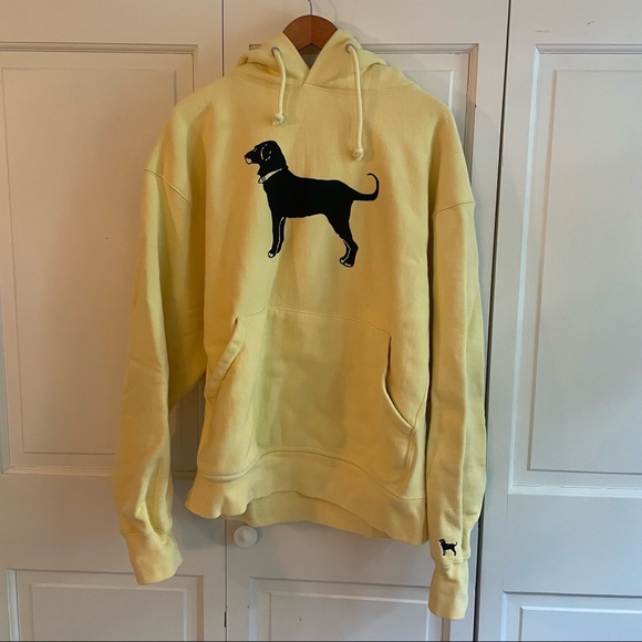 eastern box turtle bedding